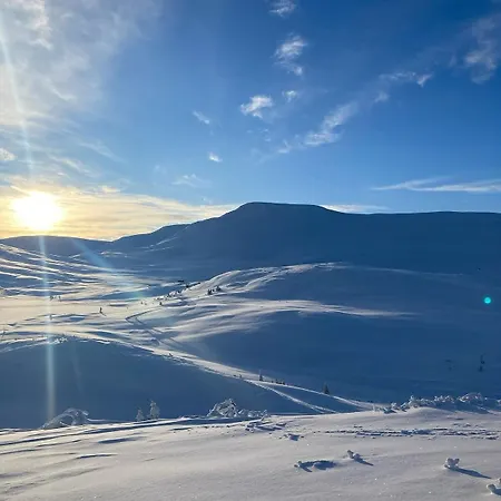 Big In Norwegian High Mountains Hogevarde Flå