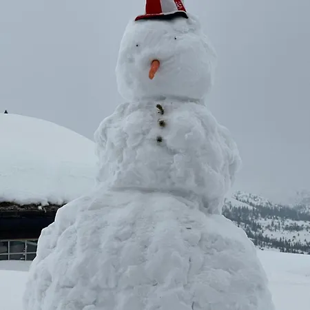 Big In Norwegian High Mountains Hogevarde