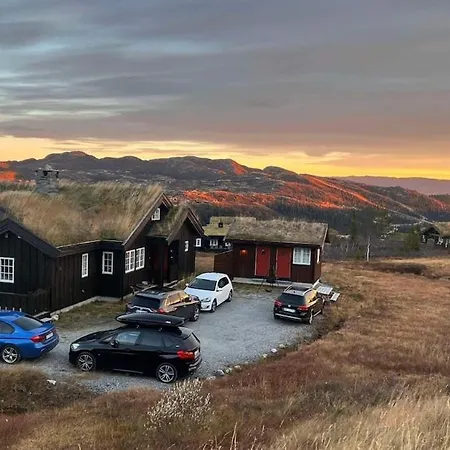 Big In Norwegian High Mountains Hogevarde Holiday home Fla