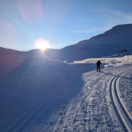 Big In Norwegian High Mountains Hogevarde Prázdninový dům Flå